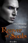Reaver of Souls (eBook, ePUB)