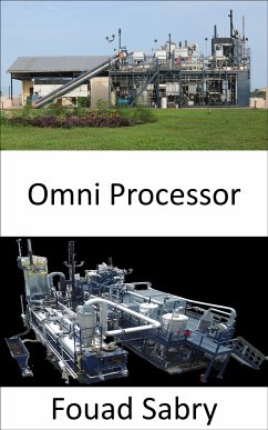 Omni Processor (eBook, ePUB) - Sabry, Fouad