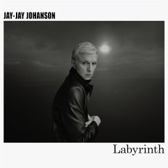 Labyrinth - Johanson,Jay-Jay