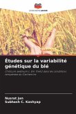 Études sur la variabilité génétique du blé