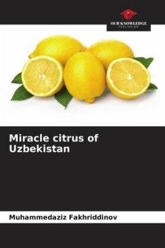 Miracle citrus of Uzbekistan - Fakhriddinov, Muhammedaziz