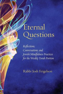 Eternal Questions - Feigelson, Josh