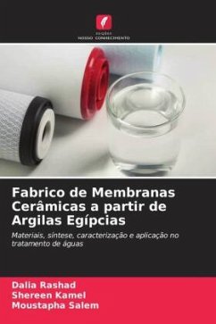 Fabrico de Membranas Cerâmicas a partir de Argilas Egípcias - Rashad, Dalia;Kamel, Shereen;Salem, Moustapha