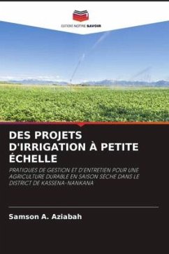 DES PROJETS D'IRRIGATION À PETITE ÉCHELLE - Aziabah, Samson A.