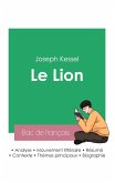 Réussir son Bac de français 2023: Analyse du roman Le Lion de Joseph Kessel