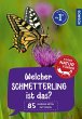 Welcher Schmetterling ist das?... - Bild 1