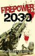 Firepower 2030 - Bild 1