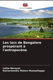 Les lacs de Bangalore prospérant à l'antropocène
