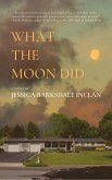 What the Moon Did (eBook, ePUB)