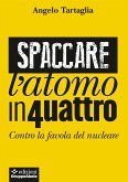 Spaccare l&quote;atomo in quattro (eBook, ePUB)