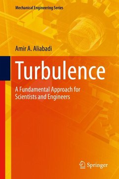 Turbulence (eBook, PDF) - Aliabadi, Amir A.