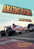 Amazing Racing (eBook, PDF)