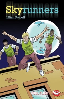 Cover Skyrunners (eBook, PDF)