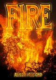 Fire (eBook, PDF)