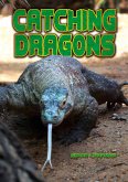 Catching Dragons (eBook, PDF)