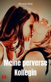 Meine perverse Kollegin (eBook, ePUB)