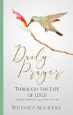 Daily Prayer through the Life of Jesus (Praying through the Gospel of Luke) (eBook, ePUB)