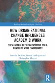 How Organisational Change Influences Academic Work (eBook, ePUB)