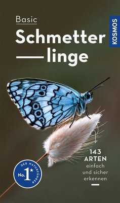 Basic Schmetterlinge - Dreyer, Eva-Maria