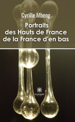 Portraits des Hauts de France de la France d’en bas (eBook, ePUB) - Mbeng, Cyrille