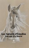 Les foulards d&quote;Émodine (eBook, ePUB)