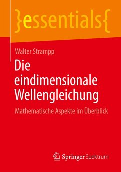 Die eindimensionale Wellengleichung - Strampp, Walter