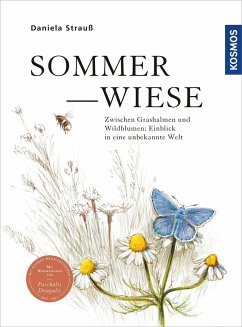 Sommerwiese - Strauß, Daniela