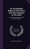 On The Wolffian Bodies Of The Foetus, And Their Remains In The Adult