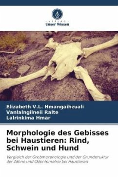 Morphologie des Gebisses bei Haustieren: Rind, Schwein und Hund - V.L. Hmangaihzuali, Elizabeth;Ralte, Vanlalngilneii;Hmar, Lalrinkima