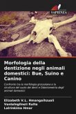 Morfologia della dentizione negli animali domestici: Bue, Suino e Canino