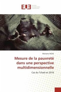 Mesure de la pauvreté dans une perspective multidimensionnelle - NGAS, Bienvenu