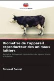 Biométrie de l'appareil reproducteur des animaux laitiers