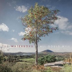 All Souls Hill (Red Colored) - Waterboys,The