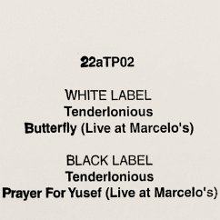 22atp02 (Ltd Hand-Stamped 10inch) - Tenderlonious