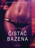 Čistač Bazena - Seksi erotika (eBook, ePUB)