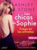 Las chicas de Sophie 3: Fuego en las entrañas - Una novela erótica (eBook, ePUB)