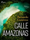 Calle Amazonas (eBook, ePUB)