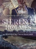 El misterio del valle Boscombe (eBook, ePUB)