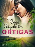 Ortigas (eBook, ePUB)