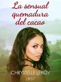 La sensual quemadura del cacao – una novela erótica (eBook, ePUB)