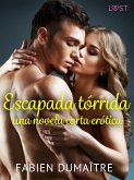 Escapada tórrida - una novela corta erótica (eBook, ePUB)