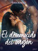 El desconocido del vagón (eBook, ePUB)