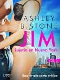 Jim 3: Lujuria en Nueva York – una novela corta erótica (eBook, ePUB)