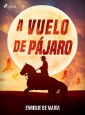 A vuelo de pájaro (eBook, ePUB)