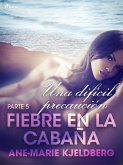 Fiebre en la cabaña, parte 5: Una difícil precaución (eBook, ePUB)