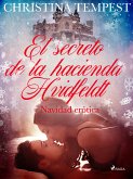 El secreto de la hacienda Hvidfeldt - Navidad erótica (eBook, ePUB)