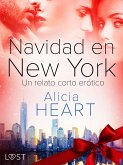 Navidad en Nueva York - un relato corto erótico (eBook, ePUB)