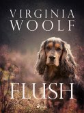 Flush (eBook, ePUB)