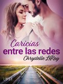 Caricias entre las redes – una novela erótica (eBook, ePUB)