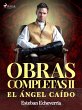 Obras Completas II El ángel caído... - Bild 1